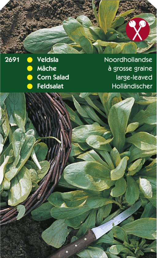 Veldsla Noordhollandse (Valerianella) 6000 zaden HT